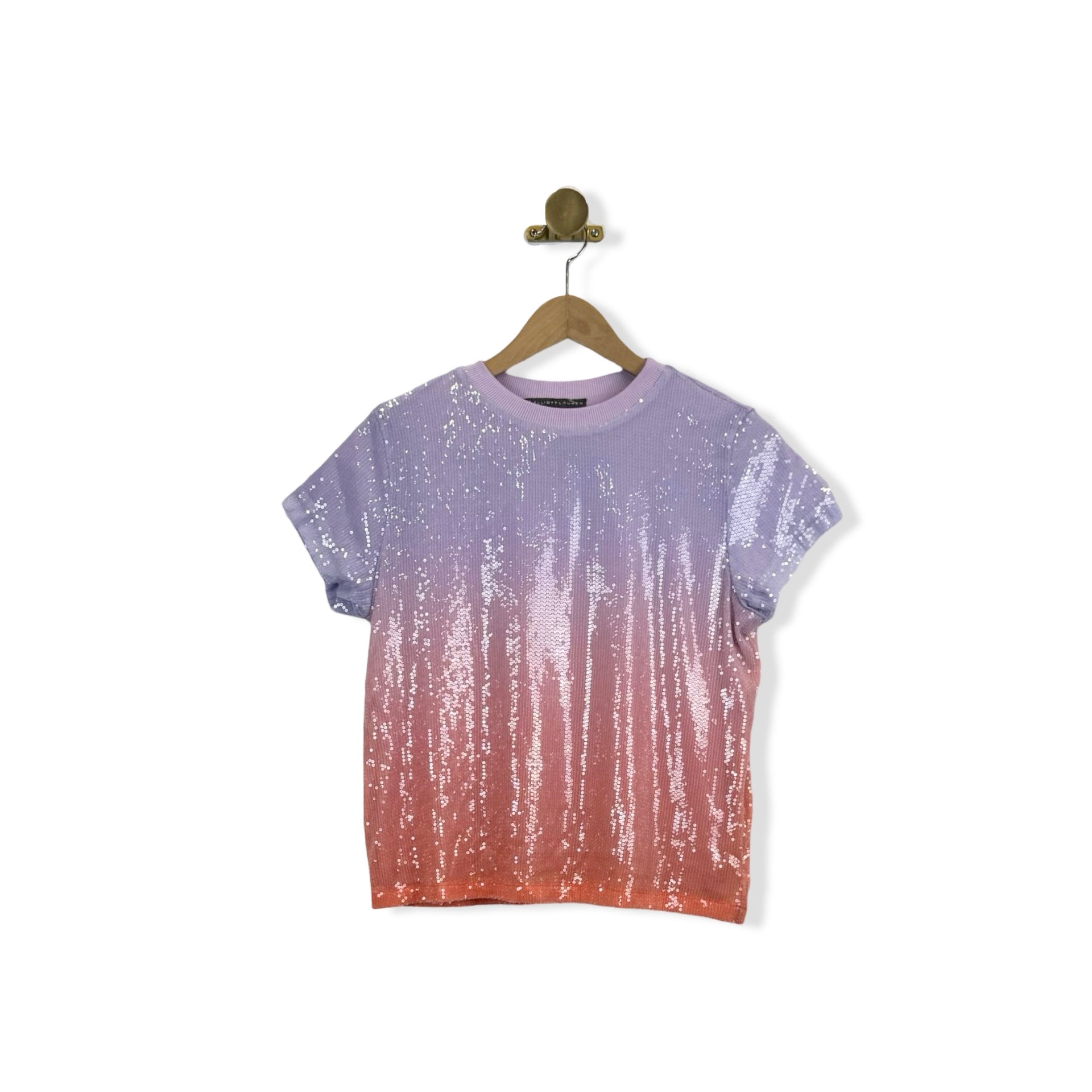 Elliott Lauren Ombre Sequined Tee