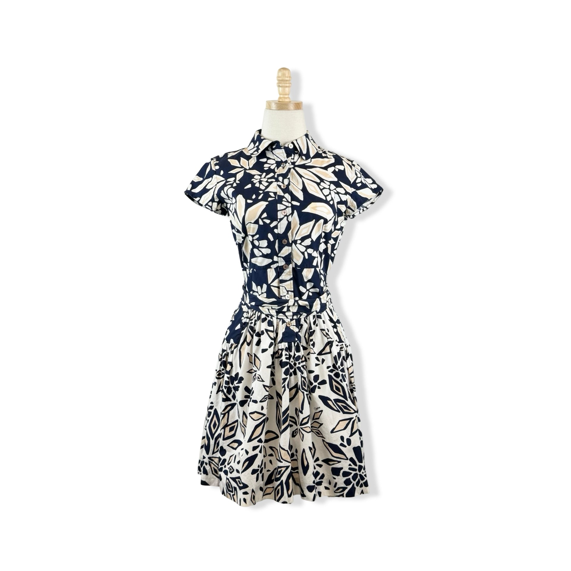 Diane Von Furstenberg Floral Belted Dress