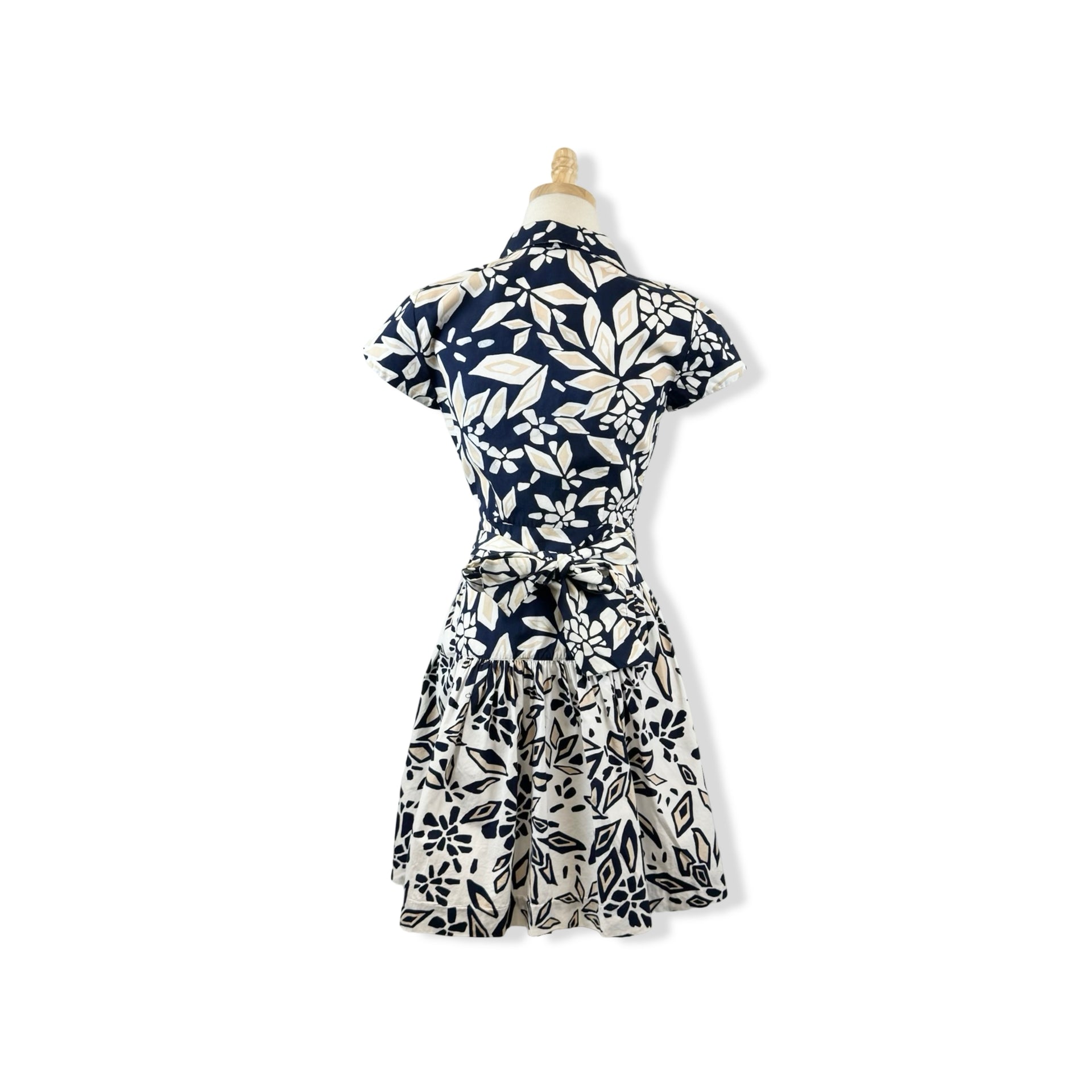 Diane Von Furstenberg Floral Belted Dress