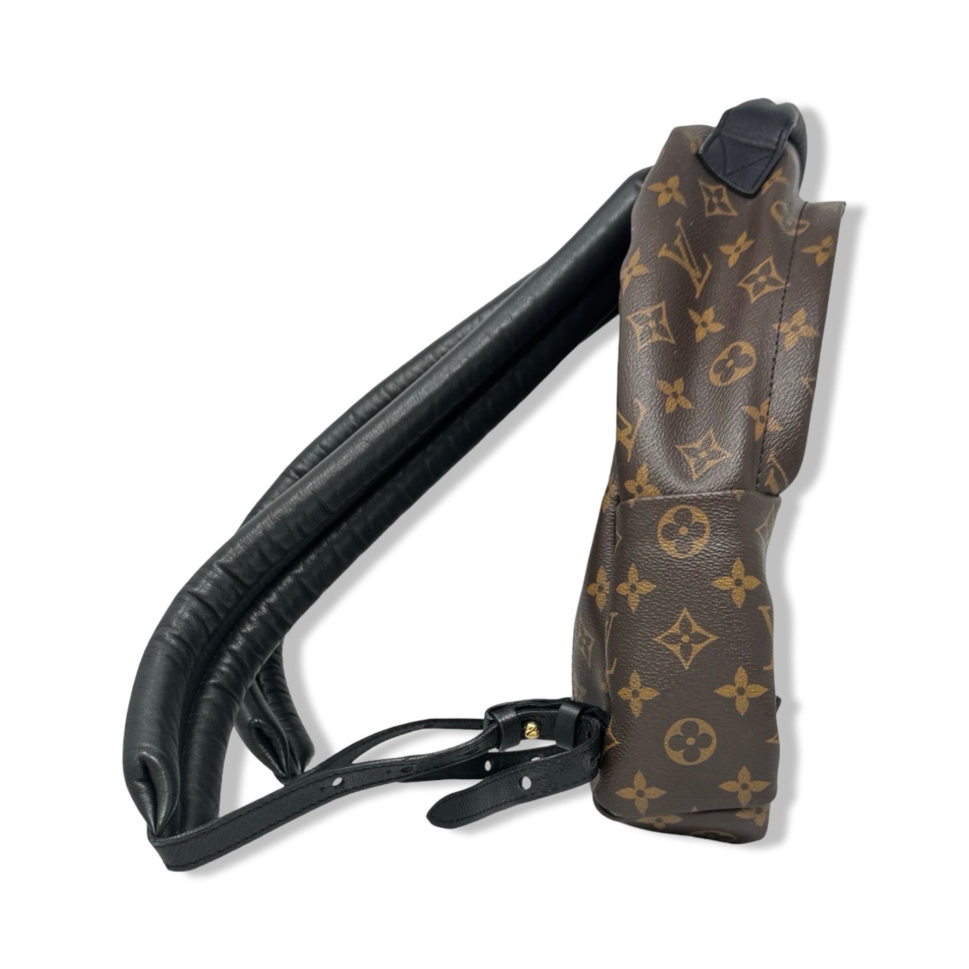 Louis Vuitton Monogram Palm Springs PM Backpack