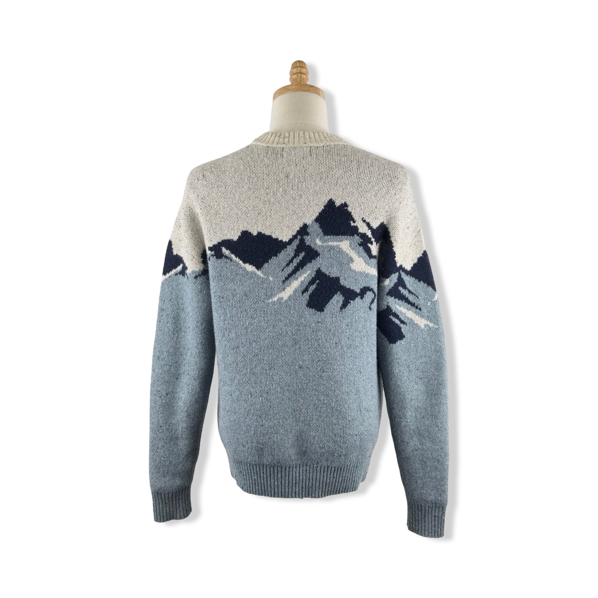 Goodfellow & Co Ski Sweater