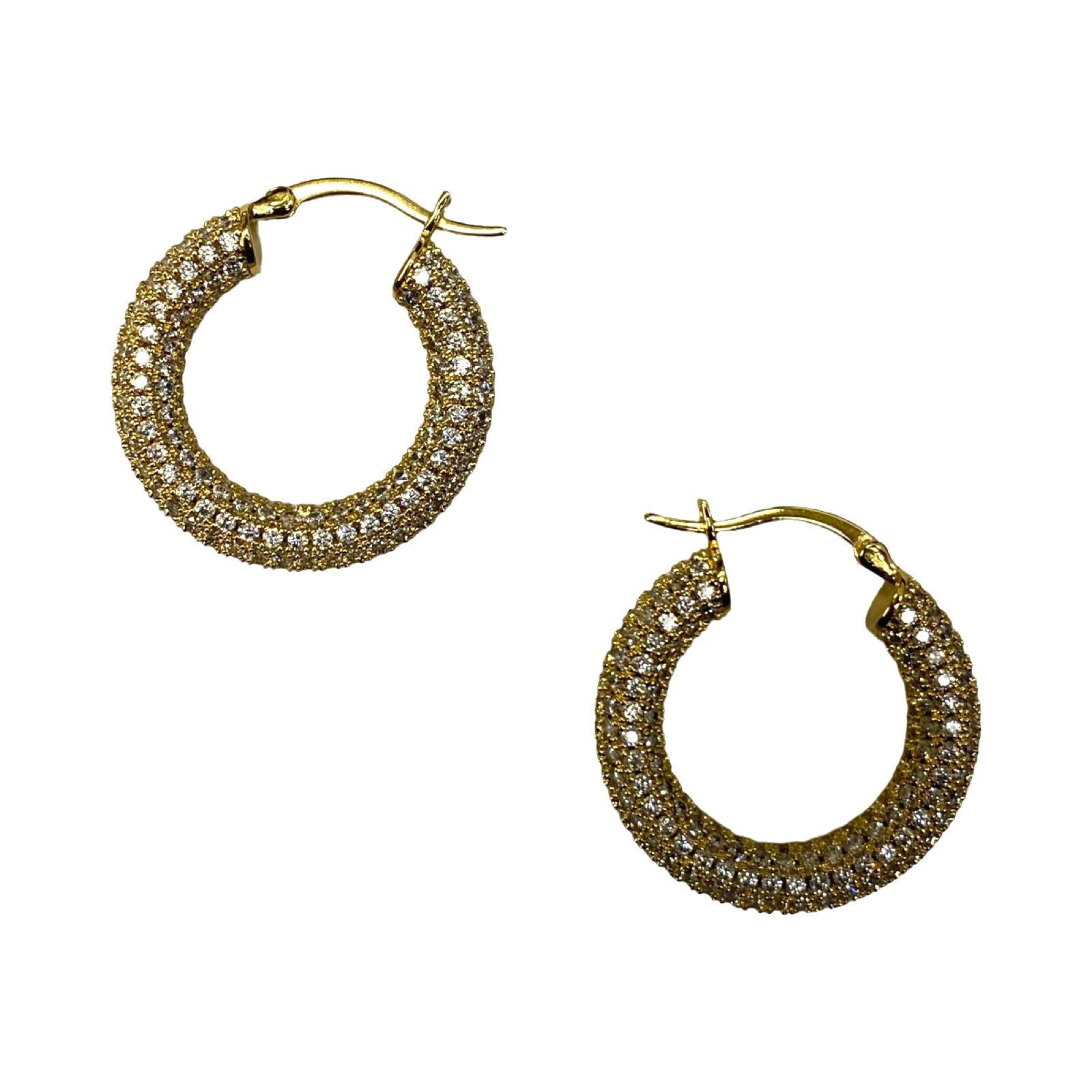 Embellished Mini Hoop Earring