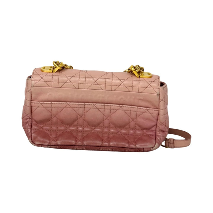 Christian Dior Lambskin Gradient Small Caro Bag-Back