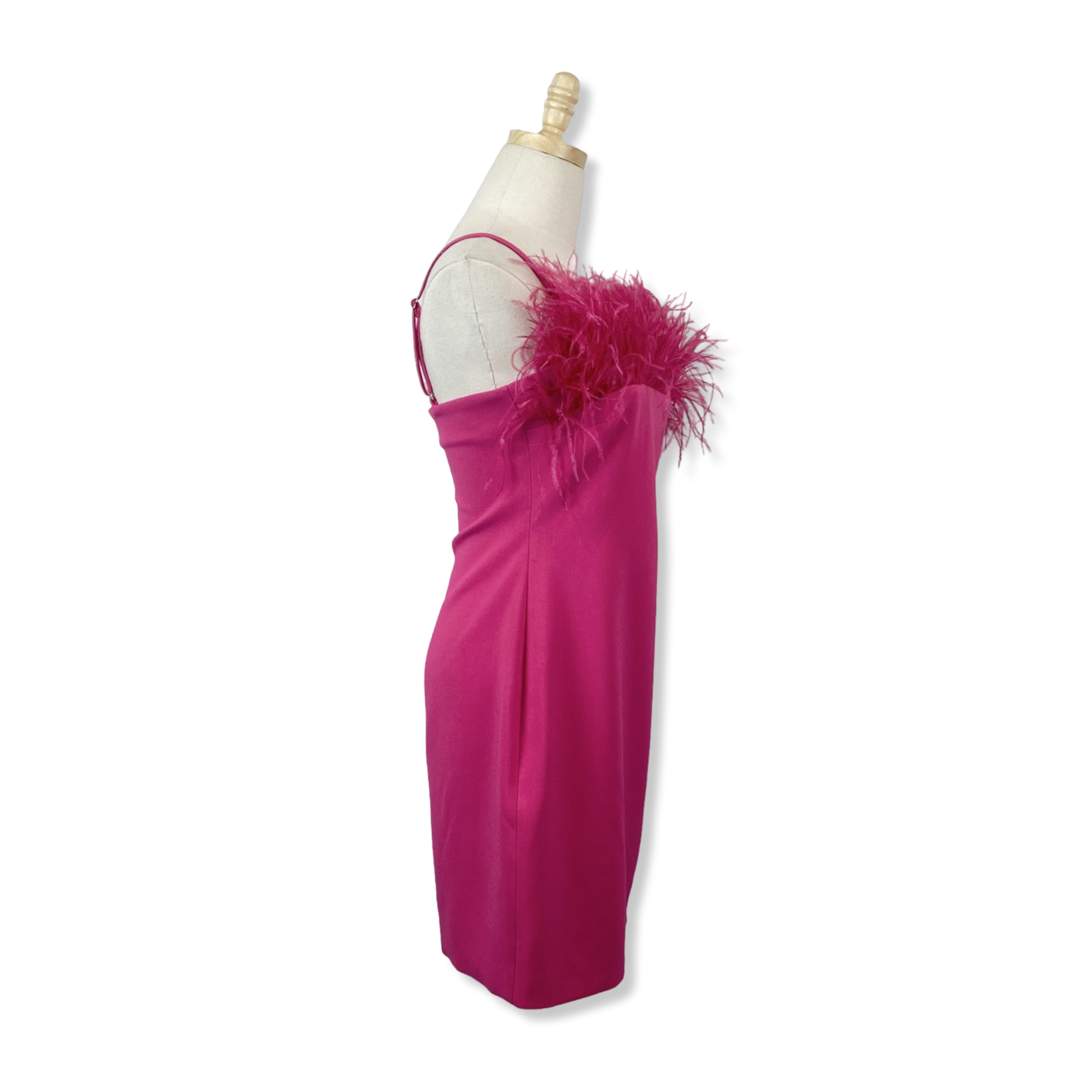 Likely Feather Bodice Dress