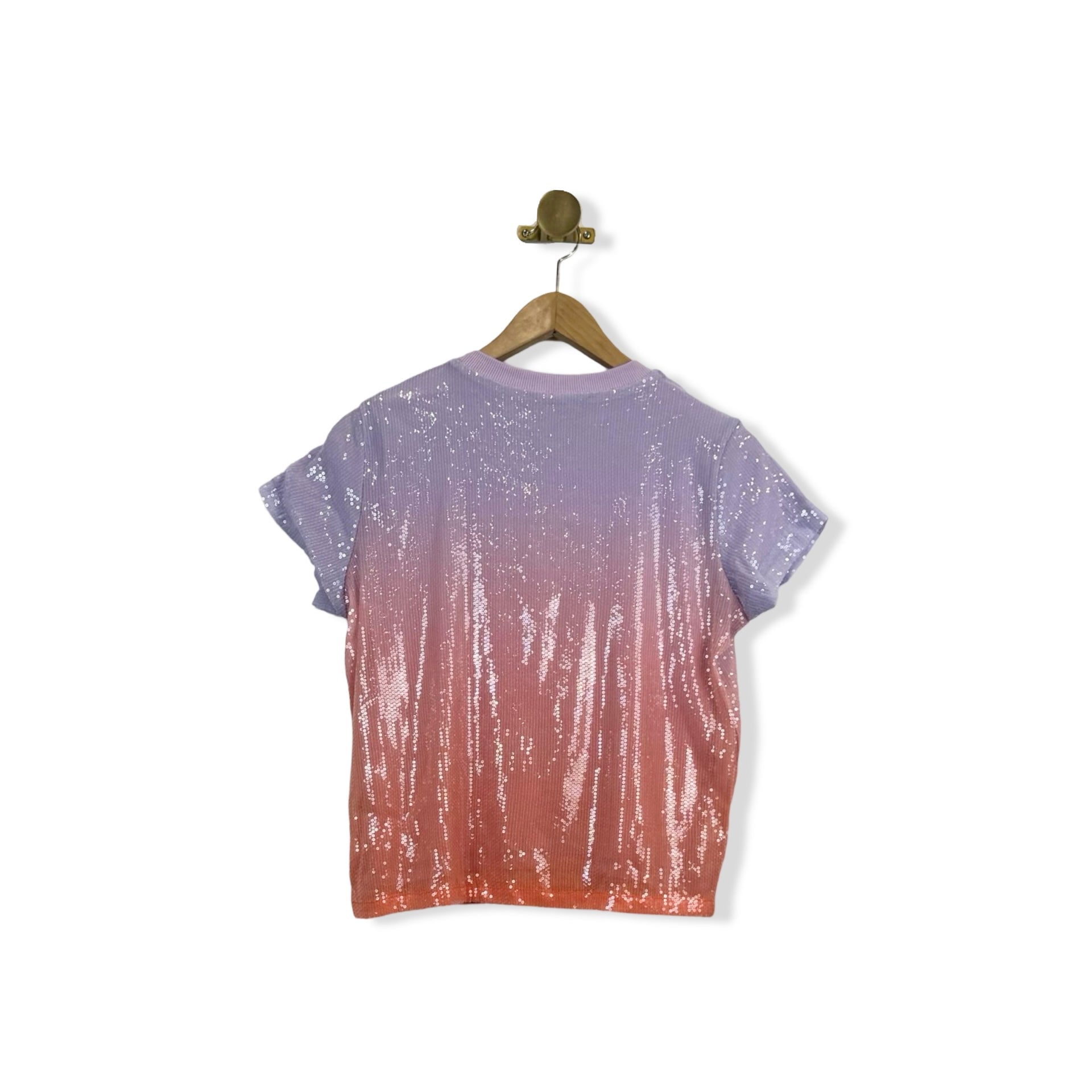 Elliott Lauren Ombre Sequined Tee