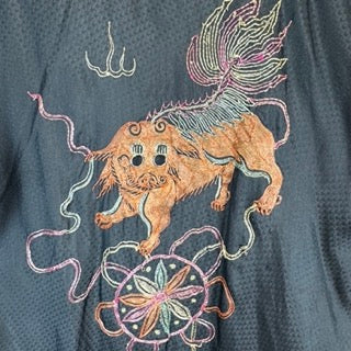 Vintage Dragon Embroidered Robe