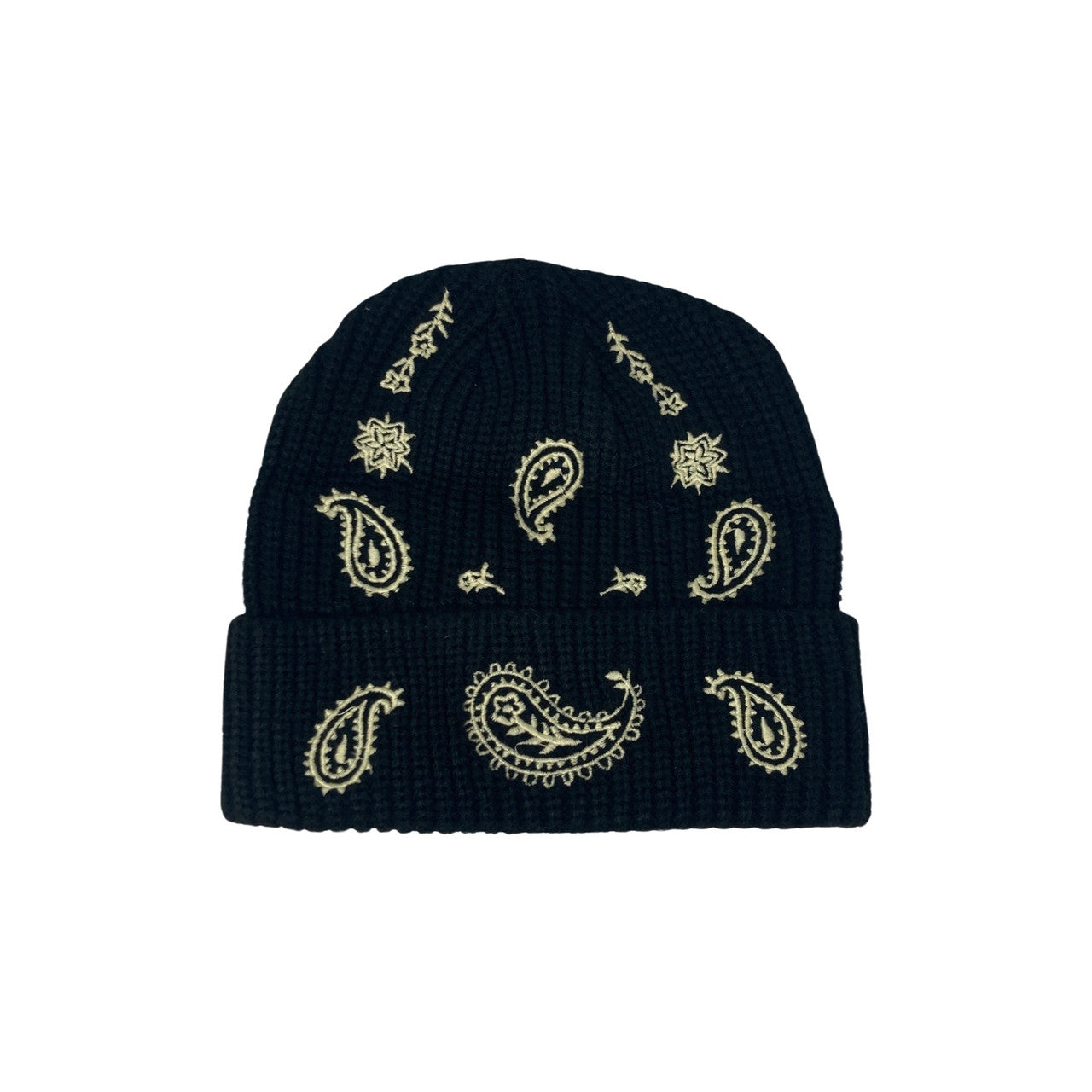 Profound Paisley Knit Beanie-Back