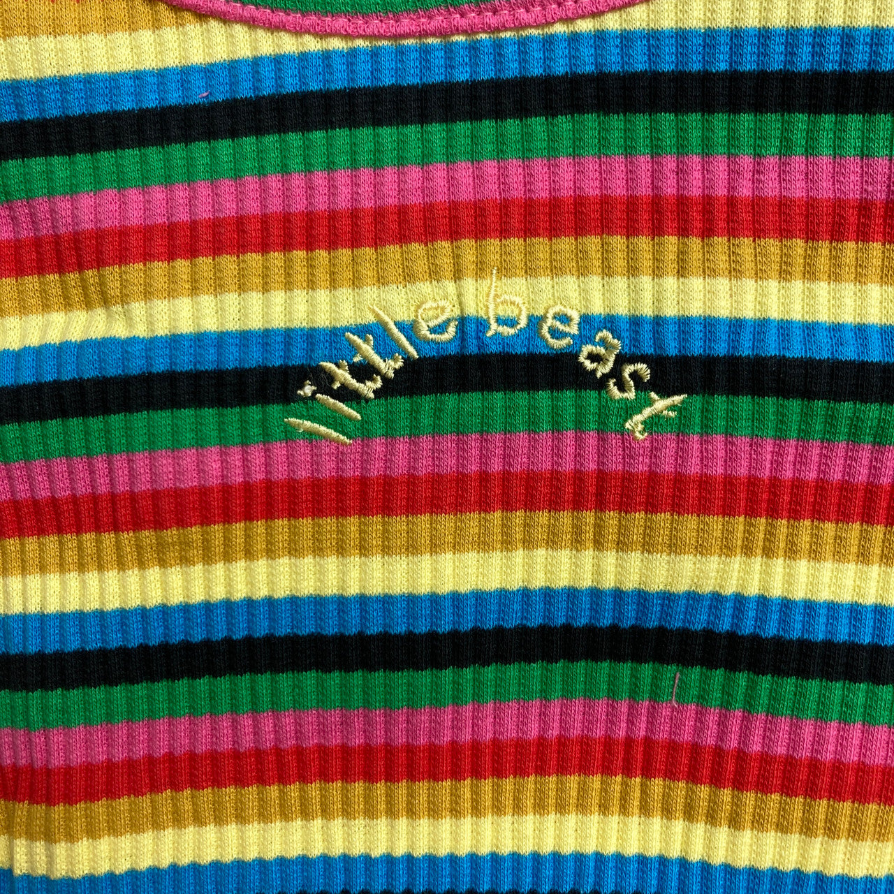 Little Beast Rainbow Dog Tank-detail