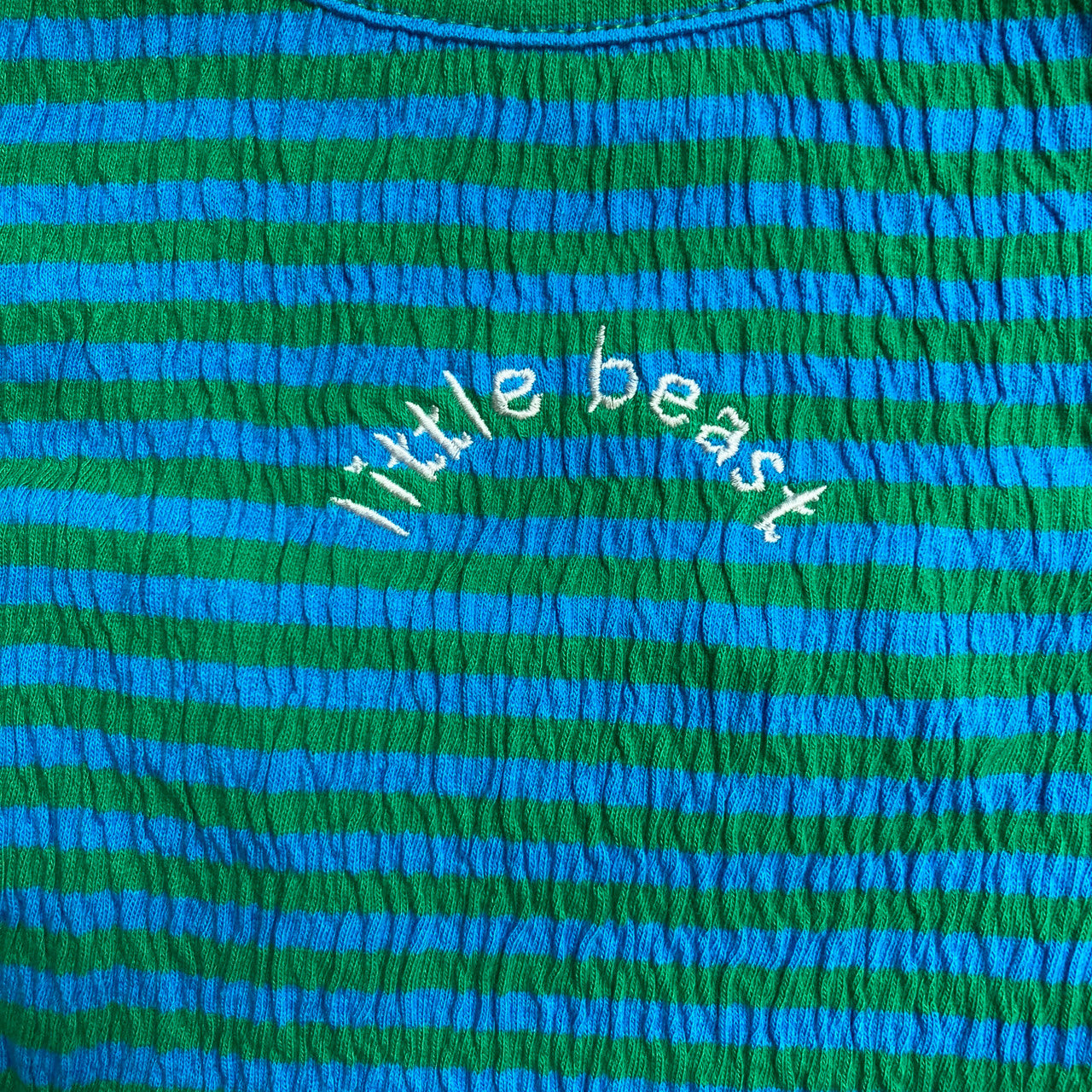 Little Beast Blue/Green and Beige /Red Stripe Dog Tee-detail