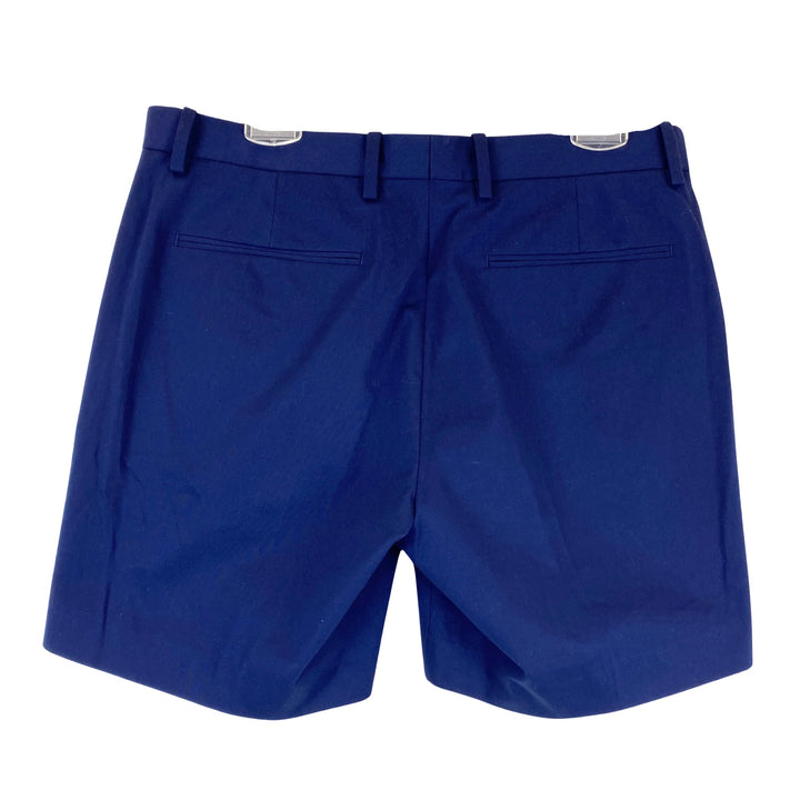 Theory Zaine Ocean Blue TS7 Patton Plus 2 Shorts