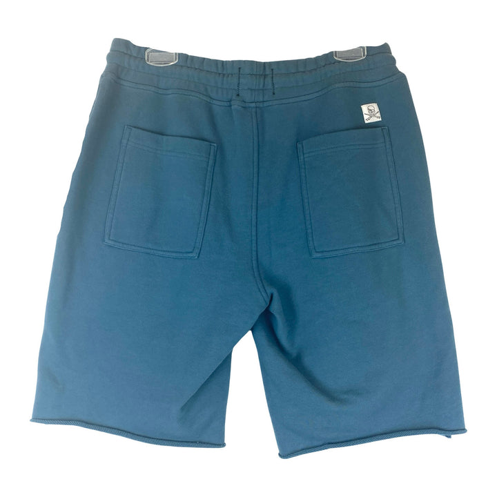 Surfside Supply Raw Hem Terry Shorts-Blue back