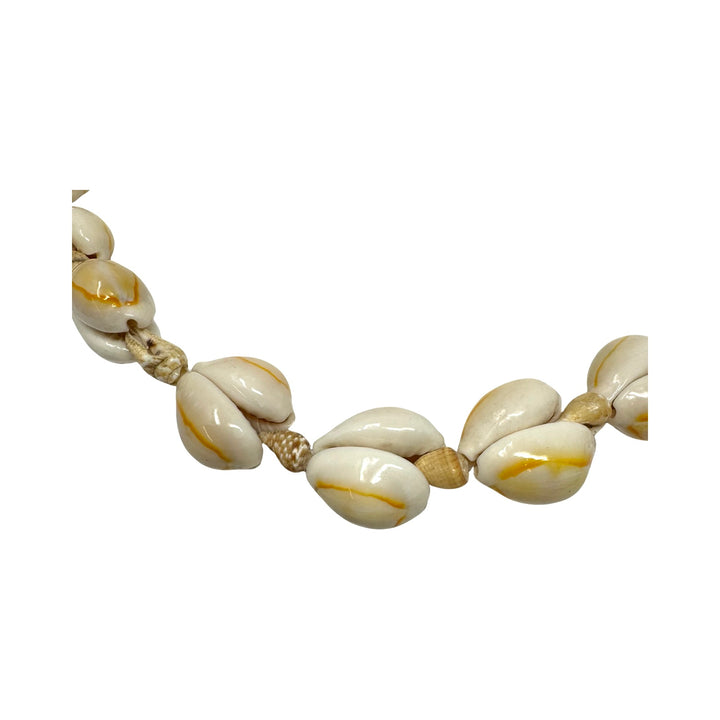 Glossy Seashell Necklace