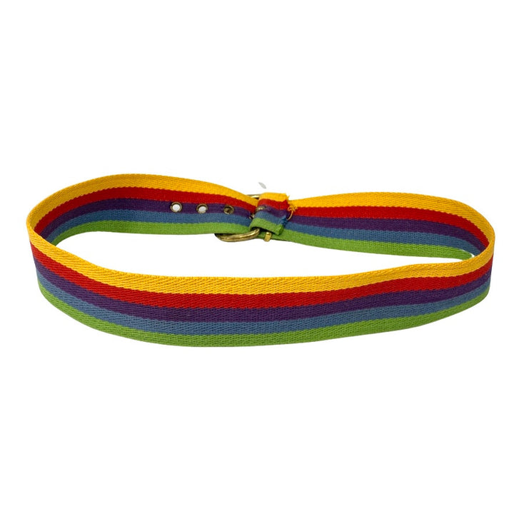 Canvas Web Rainbow Belt-Back