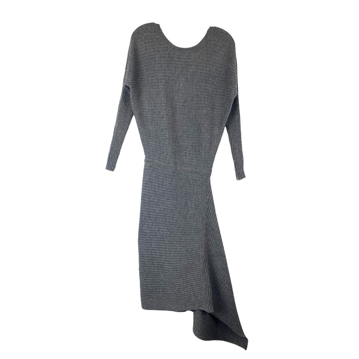 AllSaints Eva Metal Dress-Back