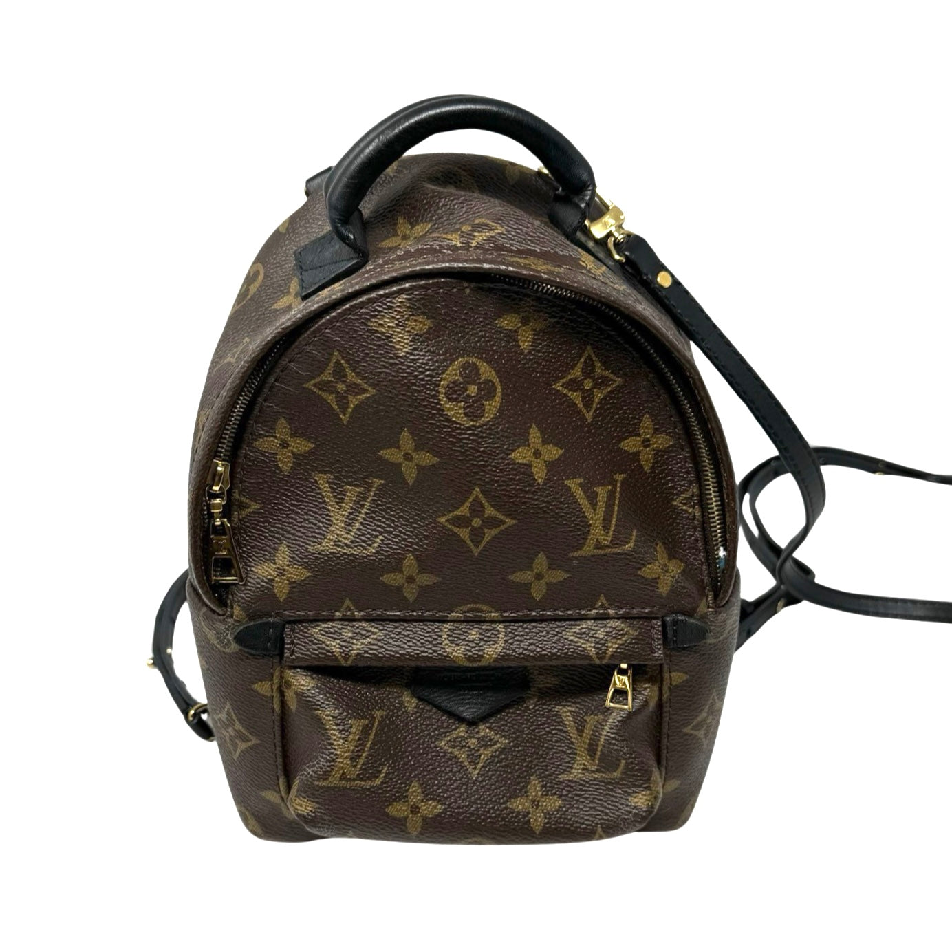 Louis Vuitton Monogram Palm Springs Mini Backpack