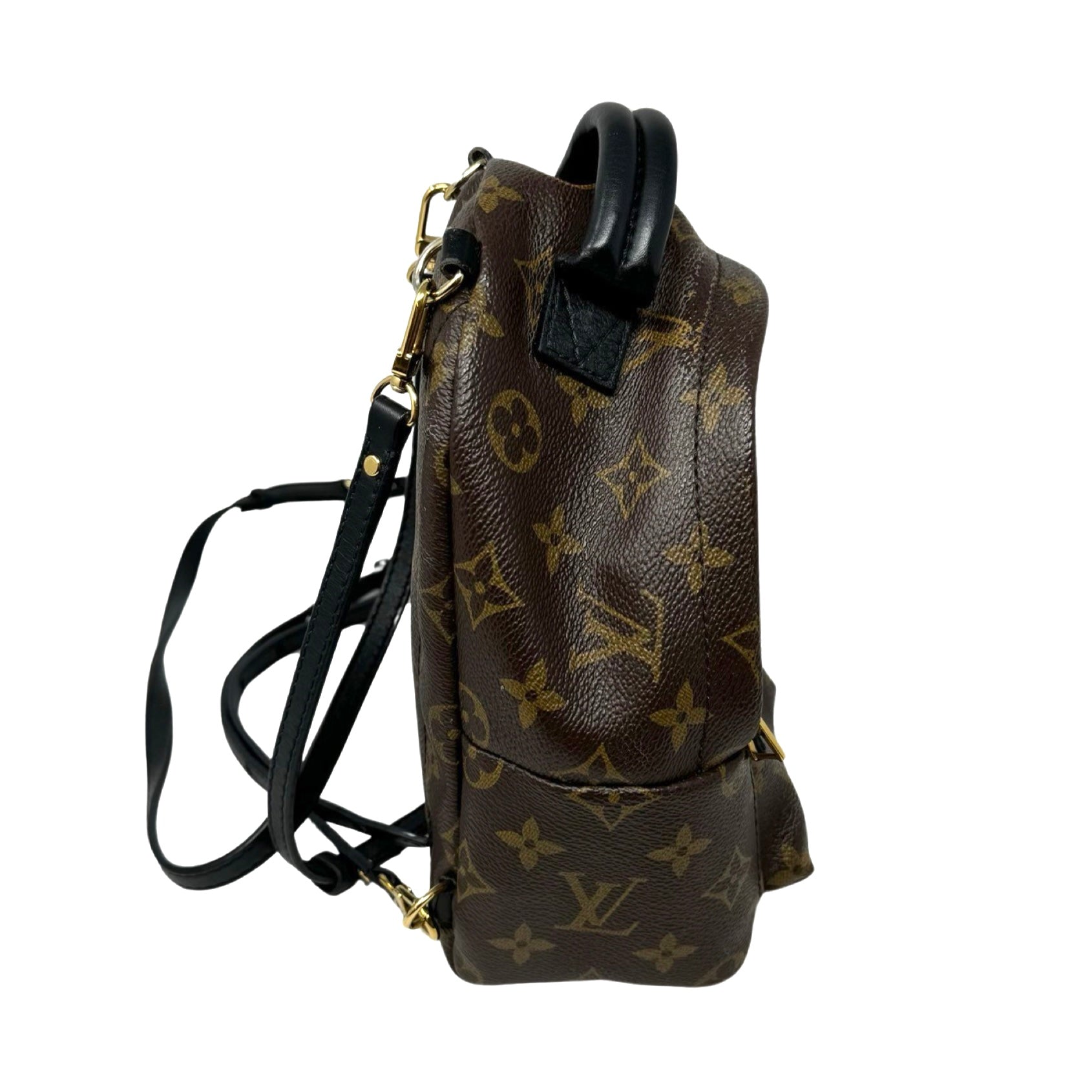 Louis Vuitton Monogram Palm Springs Mini Backpack